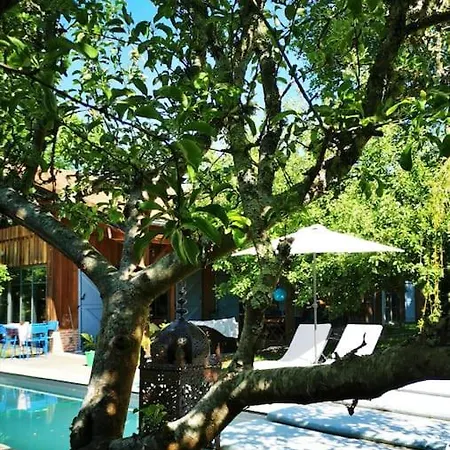 Villa Grande Maison Bois Entre Ocean Et *