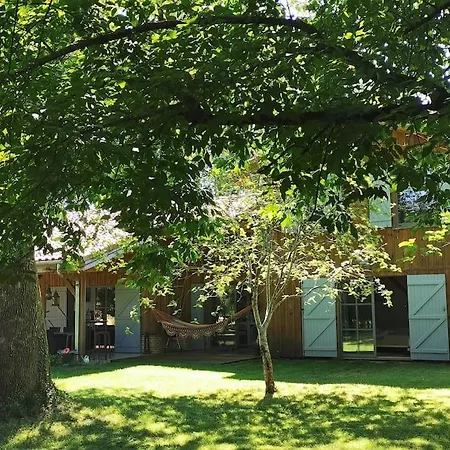 Grande Maison Bois Entre Ocean Et * Vielle-Saint-Girons