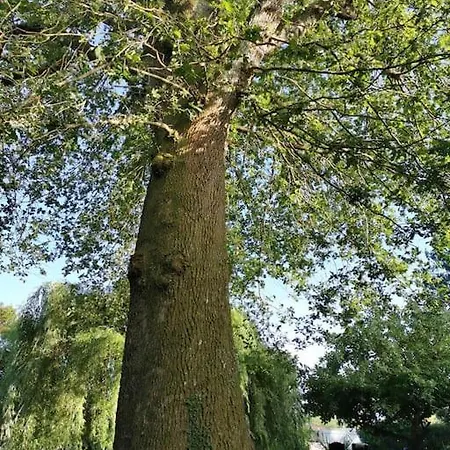 Grande Maison Bois Entre Ocean Et *